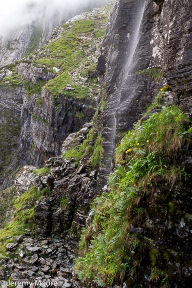 The hanging gardens in Cwm Idwal